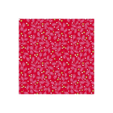 Northern Lights A-9100-R